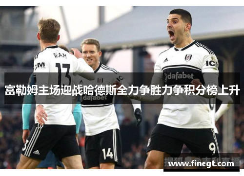 富勒姆主场迎战哈德斯全力争胜力争积分榜上升